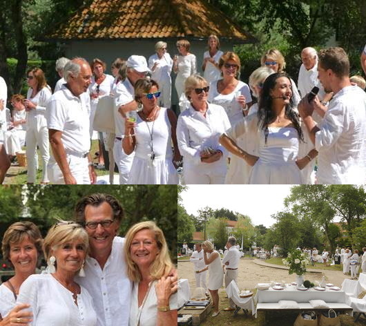 WHITE PICNIC MUSICAL